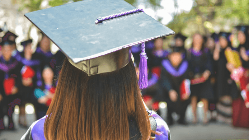 قطاع التعليم في البورصة المصرية.. نمو جاوز 95% ووقود لا ينضب مع تزايد الطلب