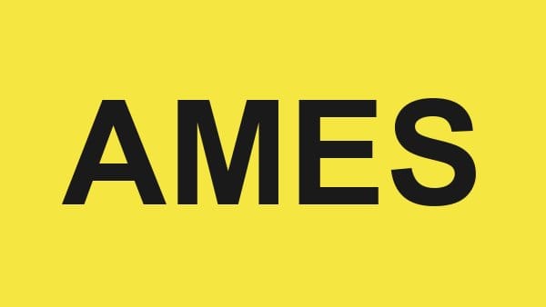 المركز الطبي الجديد – الإسكندرية – AMES