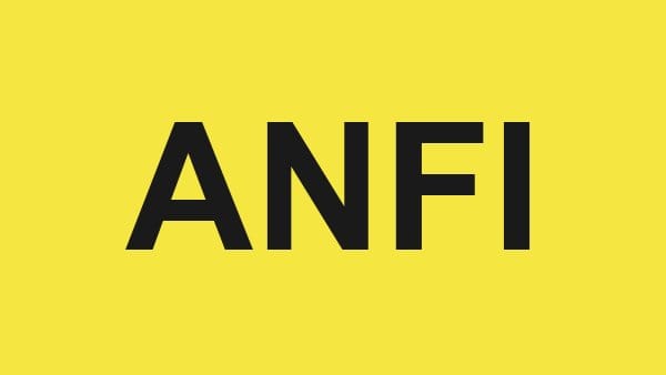 الاسكندرية الوطنية للاستثمارات المالية – ANFI