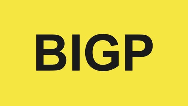 بى اى جى للتجارة والاستثمار – BIGP