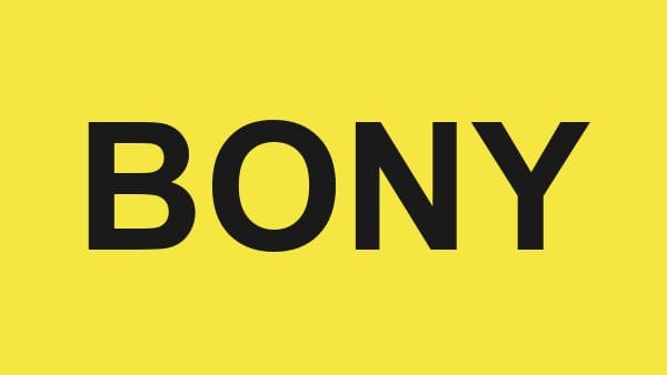 Bonyan for Development and Trade – BONY