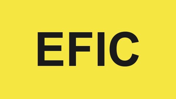 المالية والصناعية المصرية – EFIC