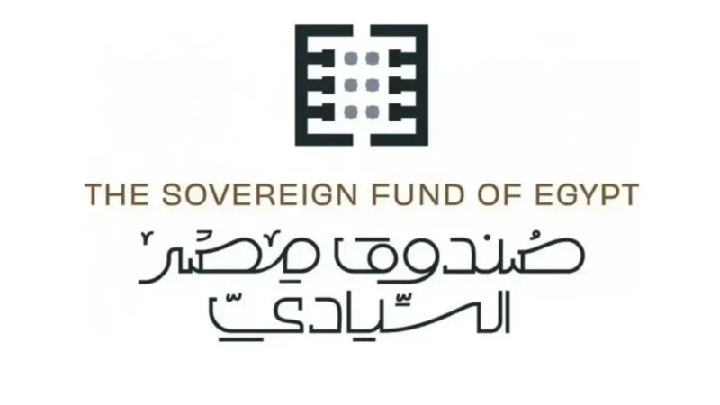 الصندوق السيادي يتدخل لدعم البورصة.. وسط موجة خروج الأموال الساخنة