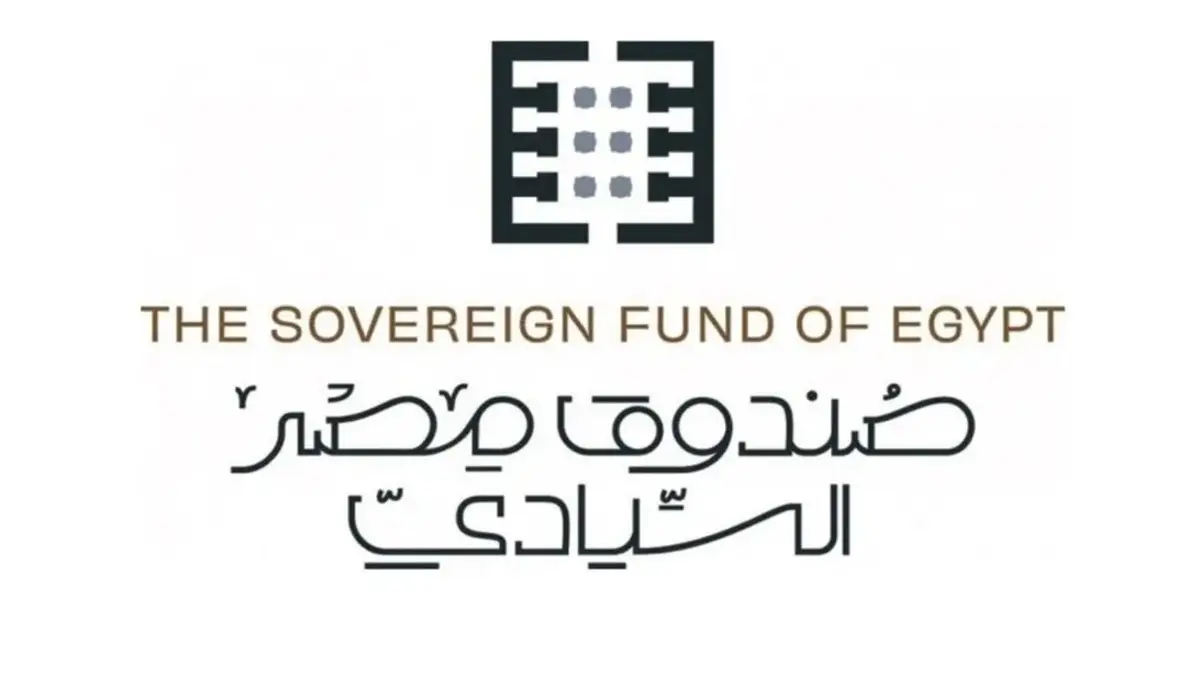 الصندوق السيادي يتدخل لدعم البورصة.. وسط موجة خروج الأموال الساخنة